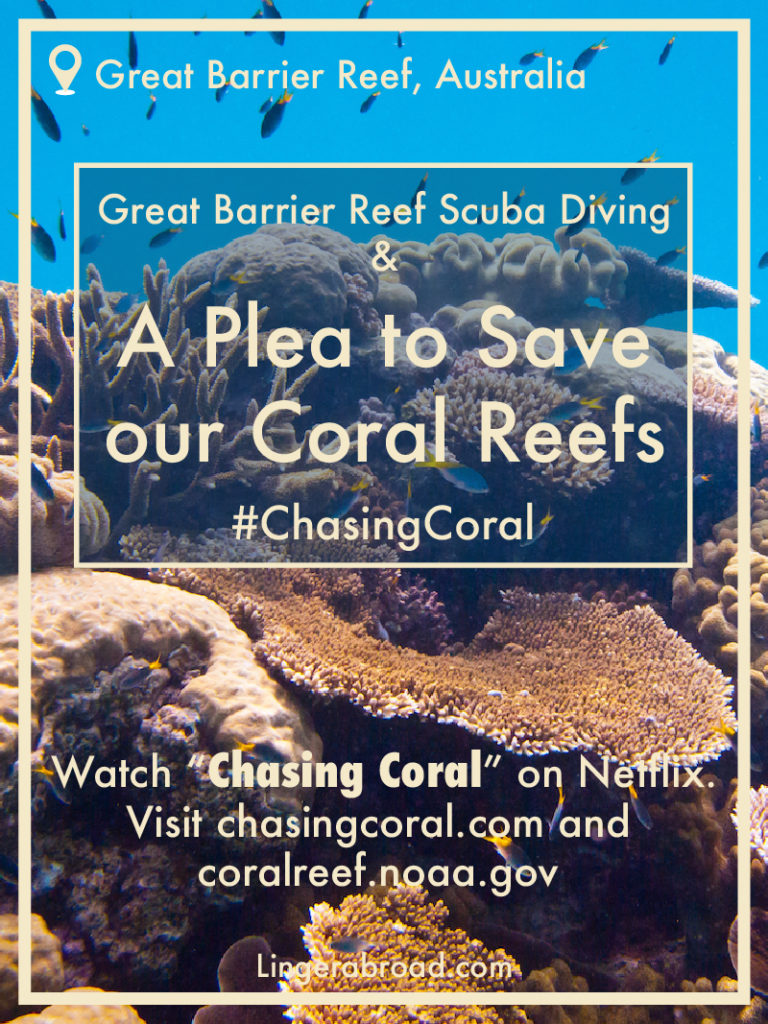 Tokoriki Island Scuba Diving & A Plea to Save Our Coral Reefs